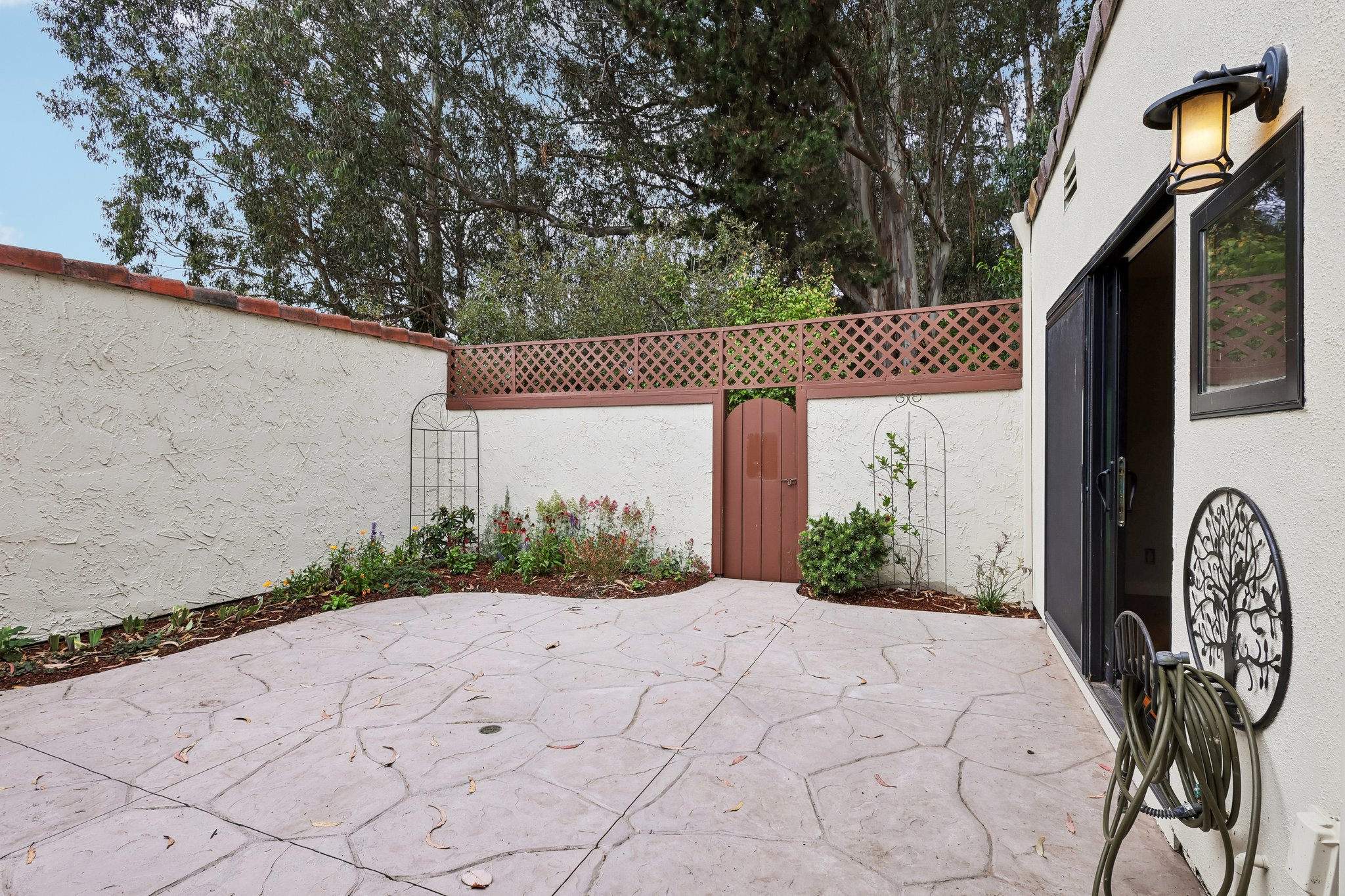 Escalona Dr-S1609-031.jpg
