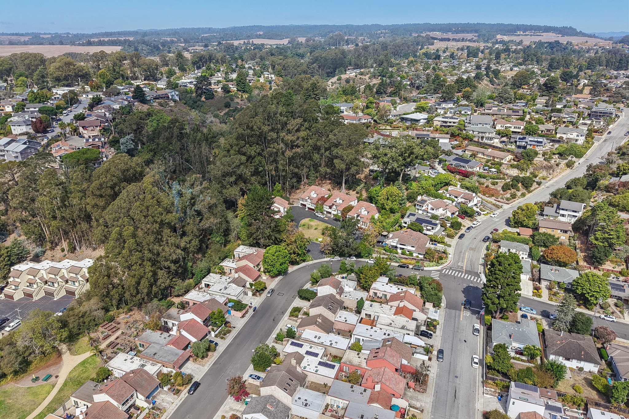 Escalona Dr-S1709-005.jpg