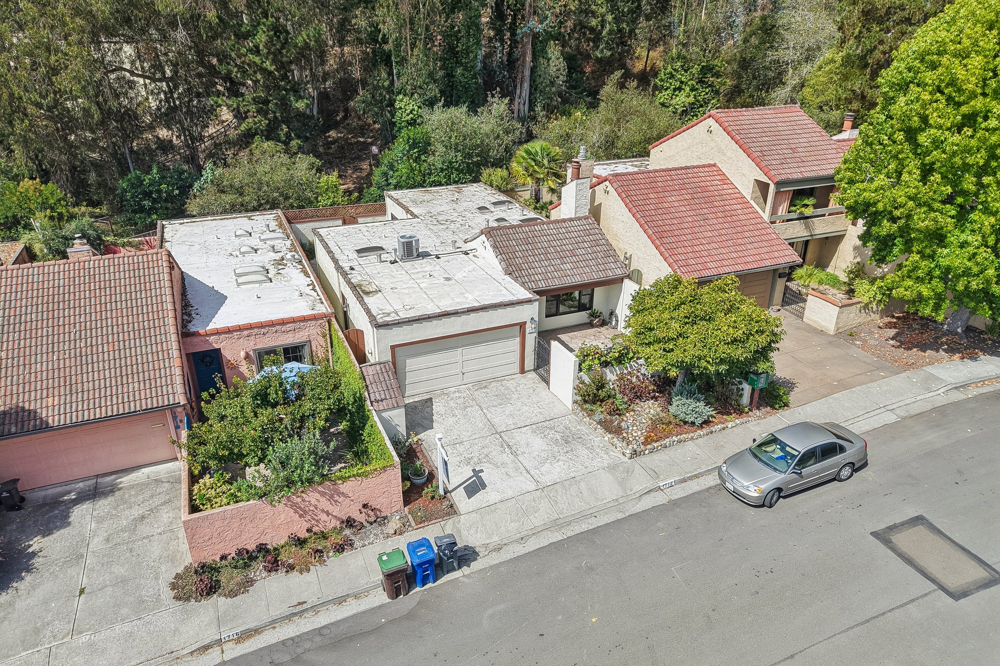Escalona Dr-S1709-011.jpg