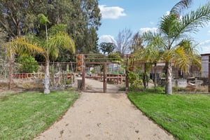 Escalona Dr-1609-904.jpg