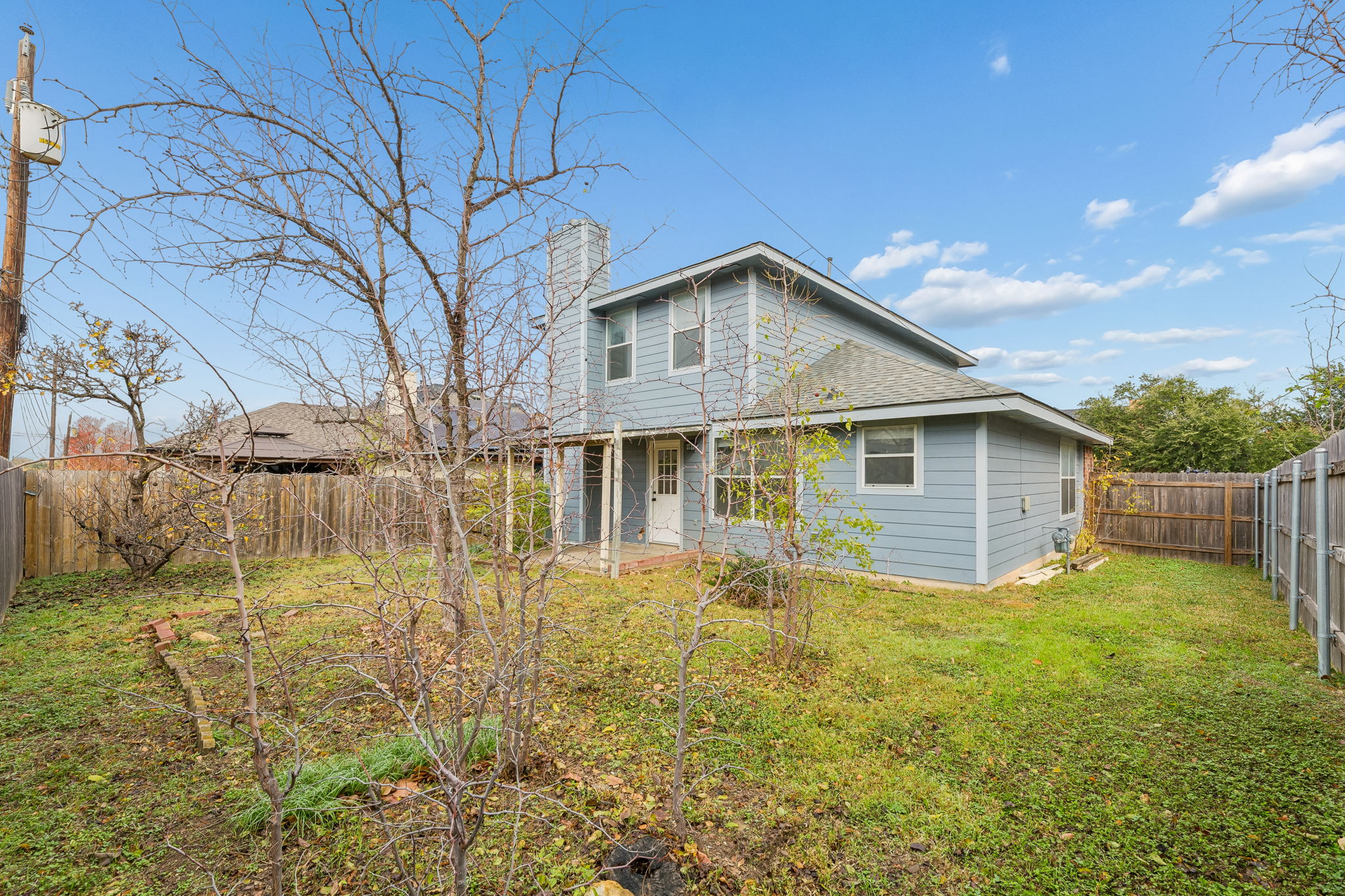 Fruit trees in the back yard!