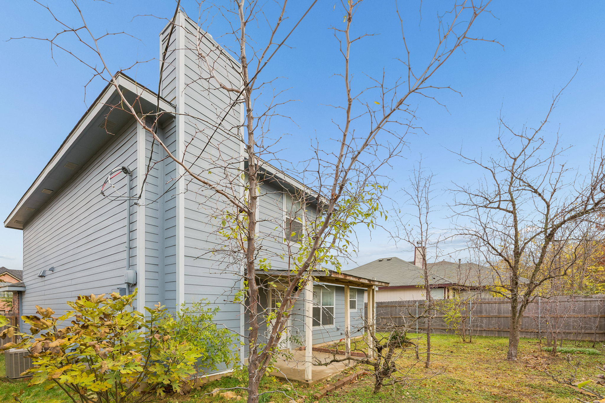 Fruit trees in the back yard!