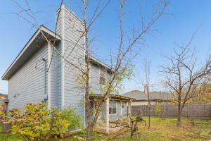 Fruit trees in the back yard!