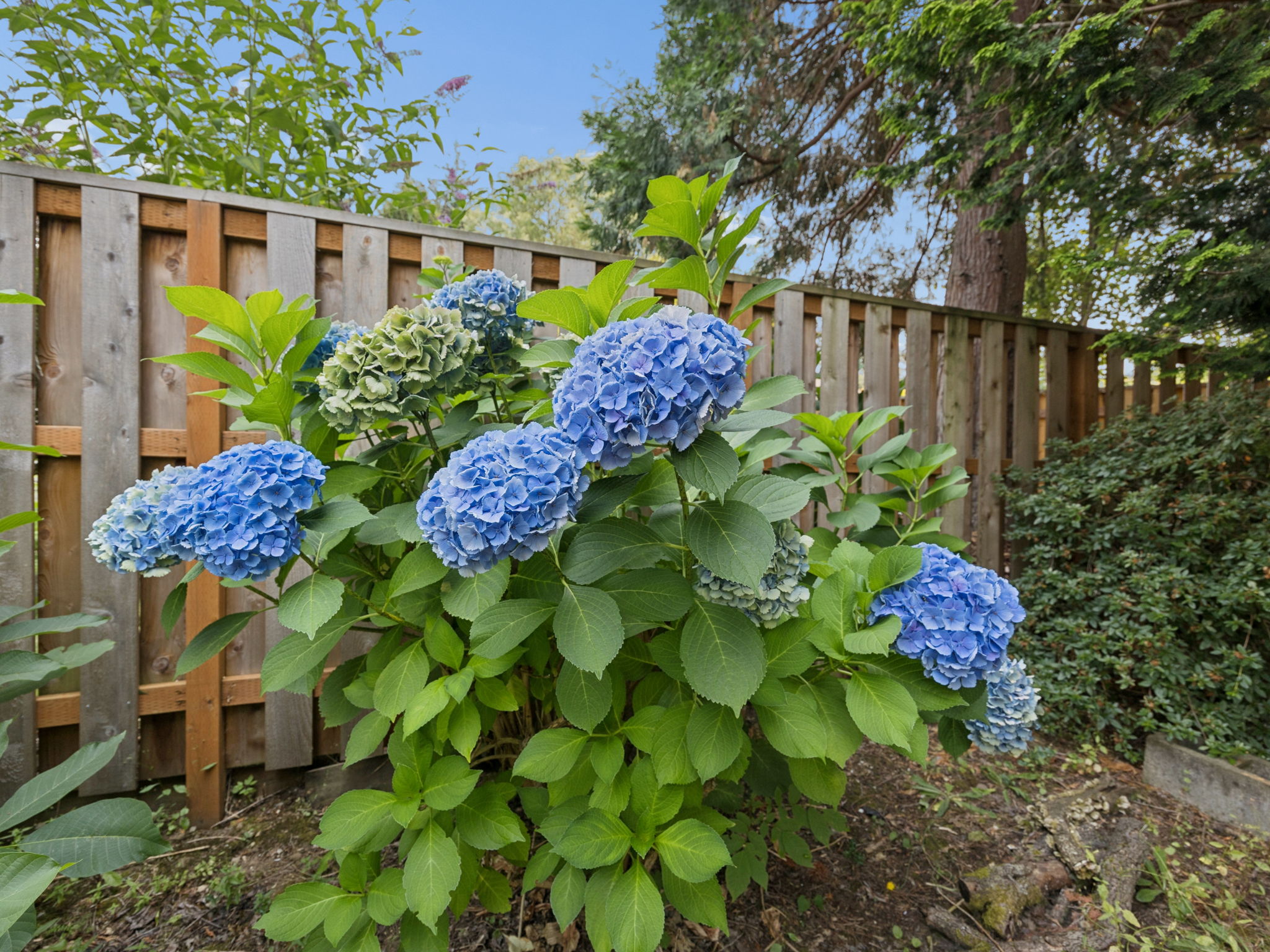  Photo 47