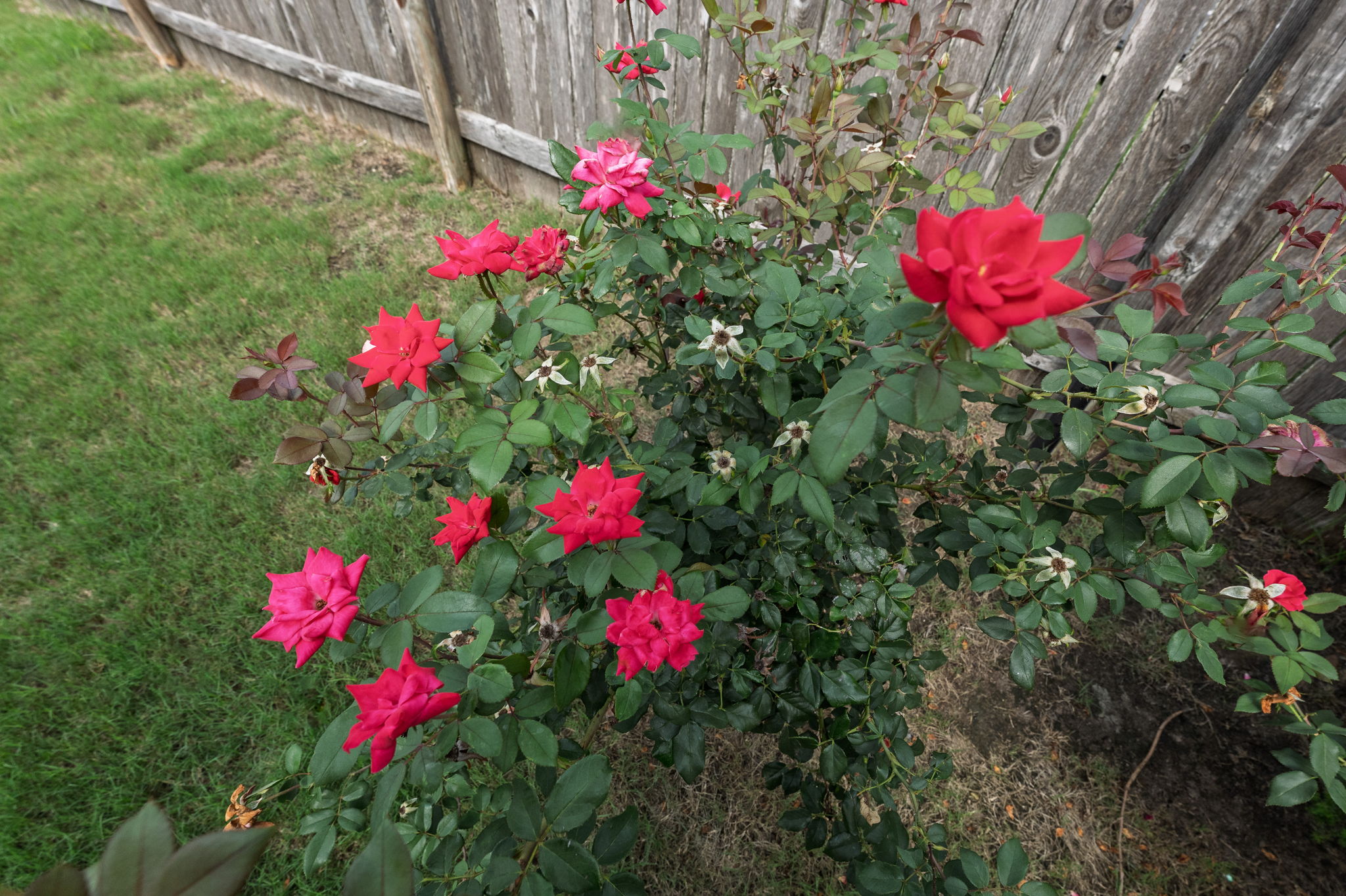  Photo 38