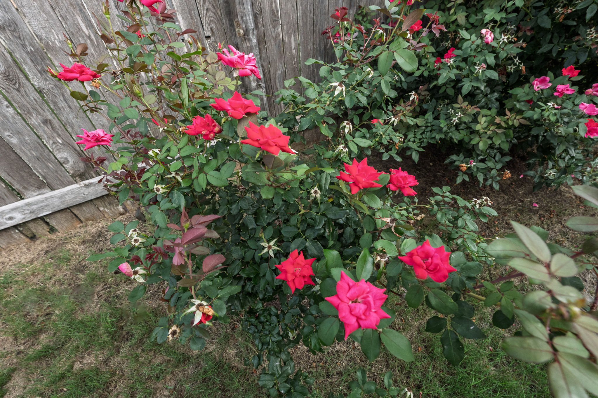  Photo 40