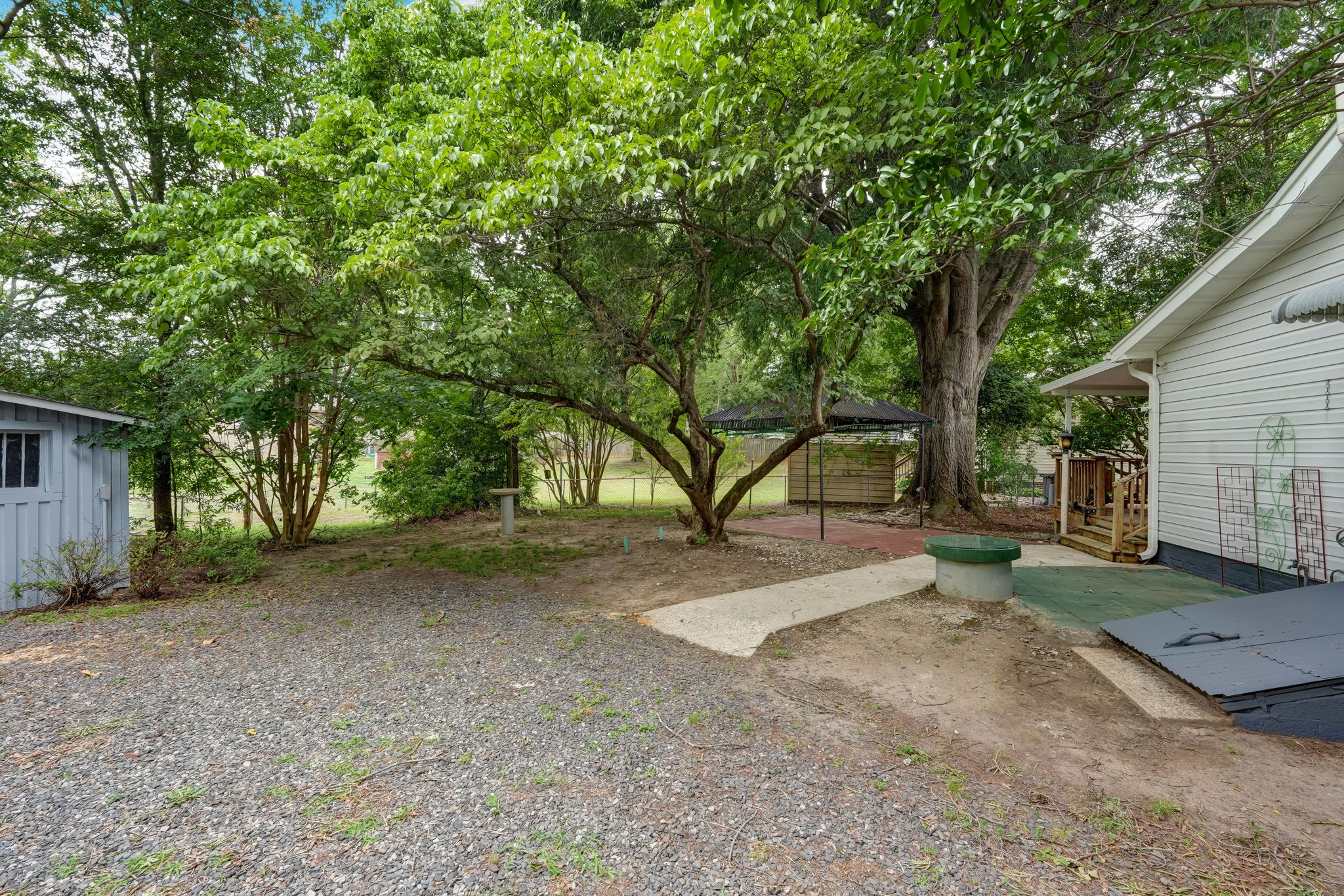 Back Yard