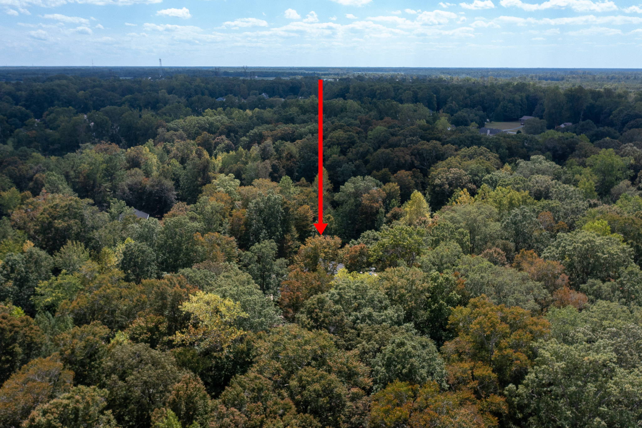 17134 Longview Dr, Smithfield, VA 23430, USA Photo 47