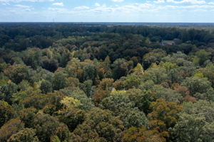 17134 Longview Dr, Smithfield, VA 23430, USA Photo 47