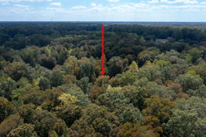 17134 Longview Dr, Smithfield, VA 23430, USA Photo 46
