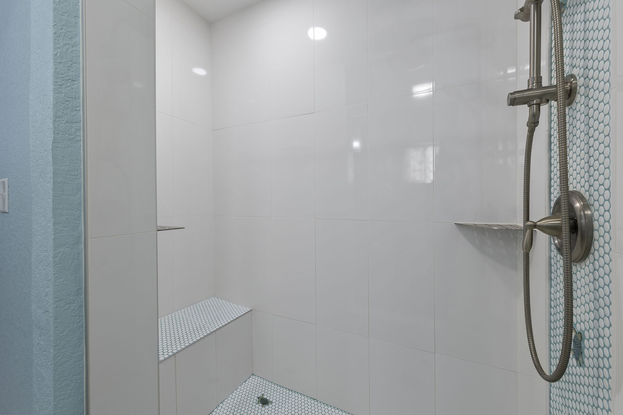 Primary Shower