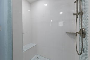 Primary Shower