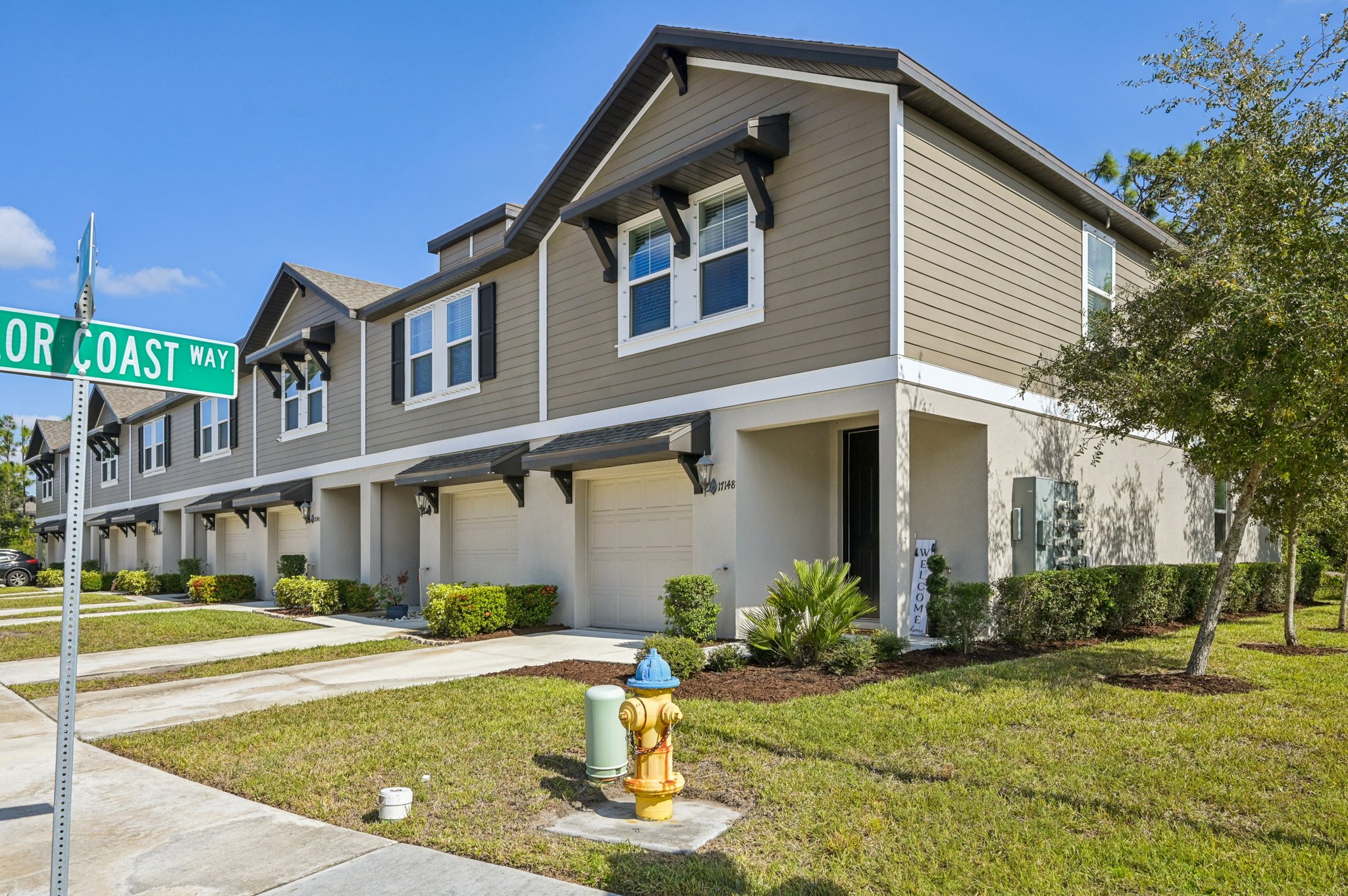 Blowfish Dr-S2011-003.jpg