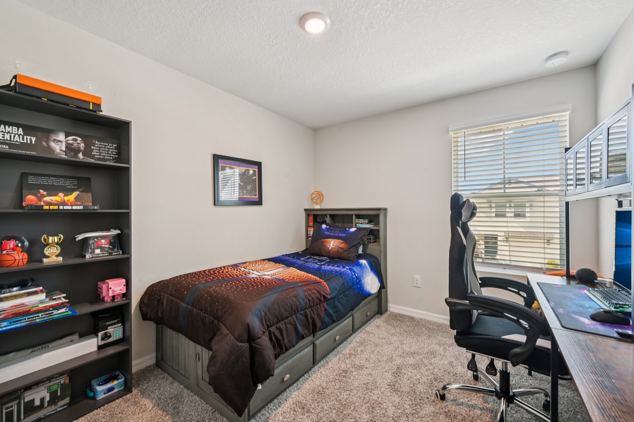 Blowfish Dr-S2011-024.jpg