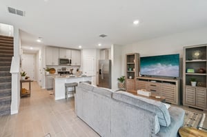 Blowfish Dr-S2011-009.jpg