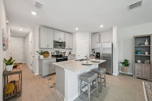 Blowfish Dr-S2011-011.jpg