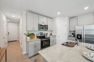 Blowfish Dr-S2011-012.jpg