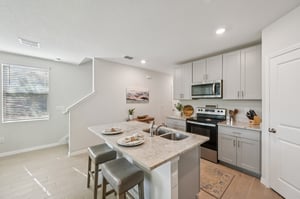 Blowfish Dr-S2011-014.jpg