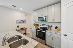 Blowfish Dr-S2011-015.jpg