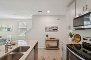 Blowfish Dr-S2011-017.jpg