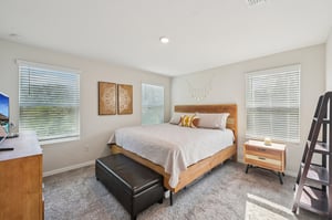 Blowfish Dr-S2011-018.jpg