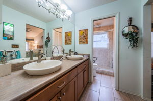 Master Bathroom1a