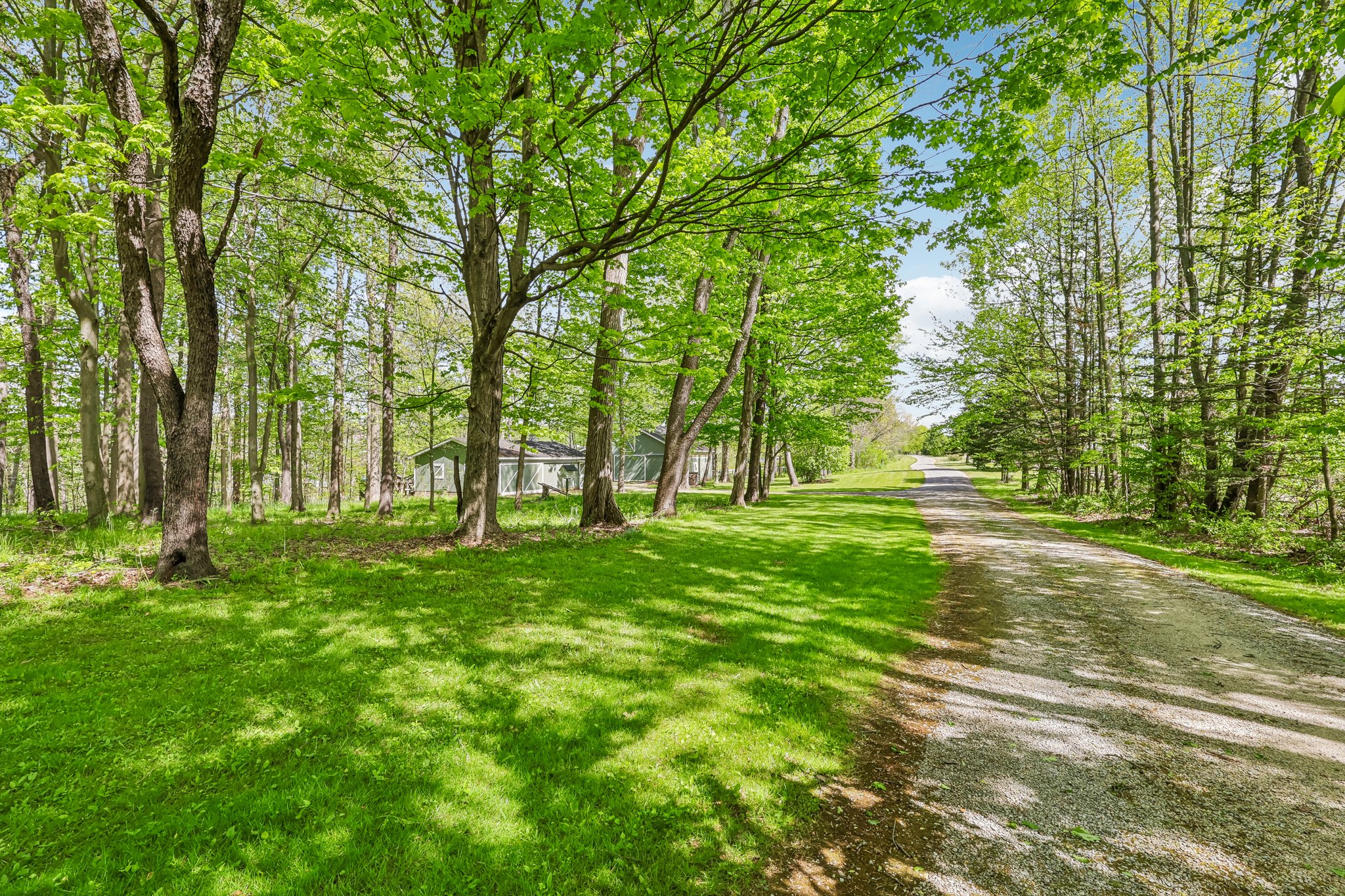Farmington Rd-S1605-066.jpg