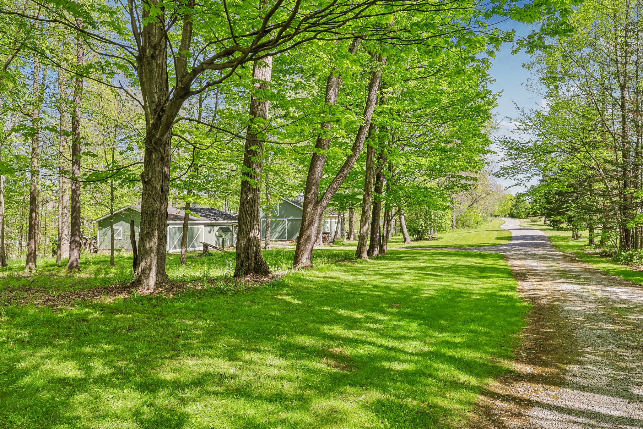 Farmington Rd-S1605-067.jpg
