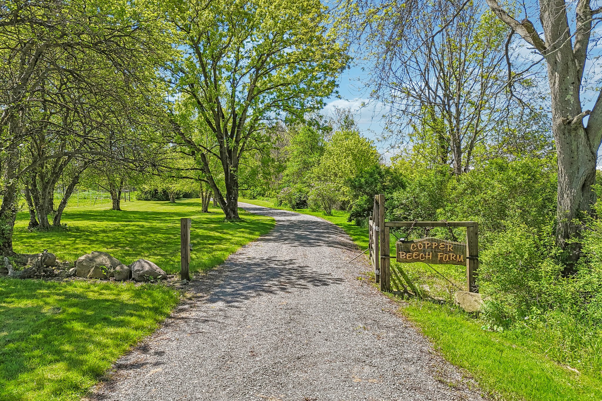 Farmington Rd-S1605-084.jpg