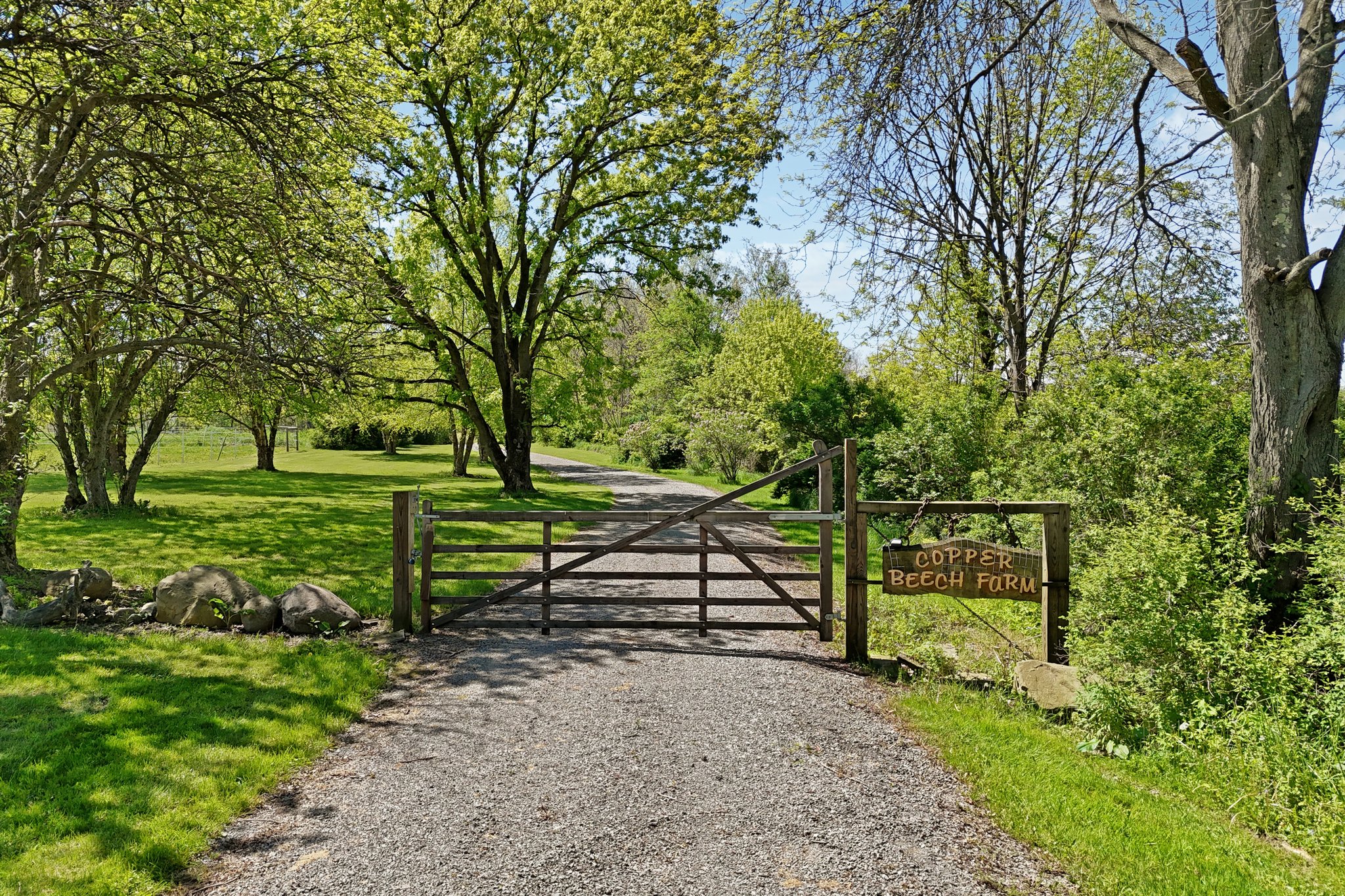 Farmington Rd-S1605-085.jpg