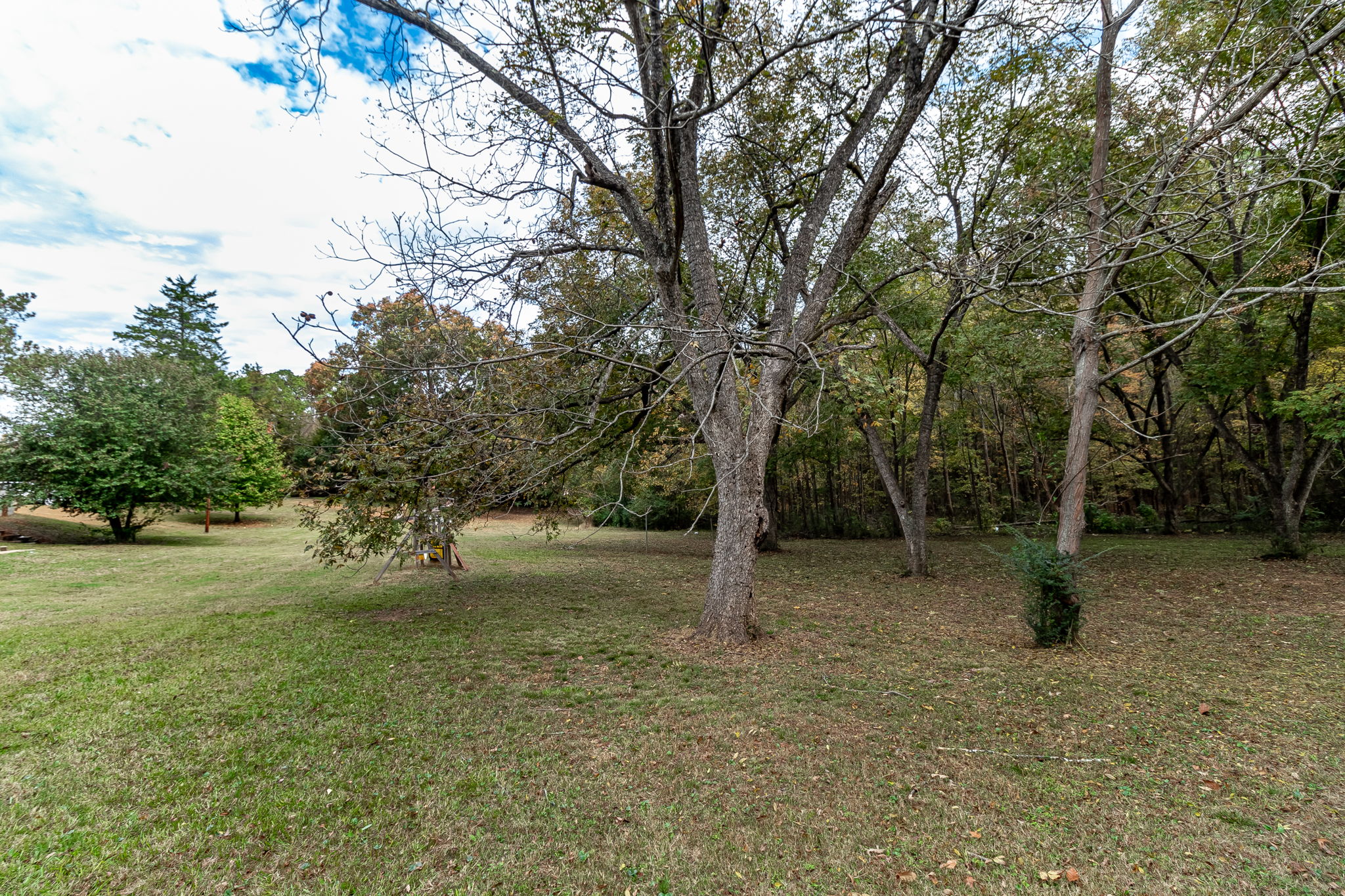 Pecan Trees On Property