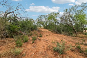 County Roads 2667-S0110-039.jpg