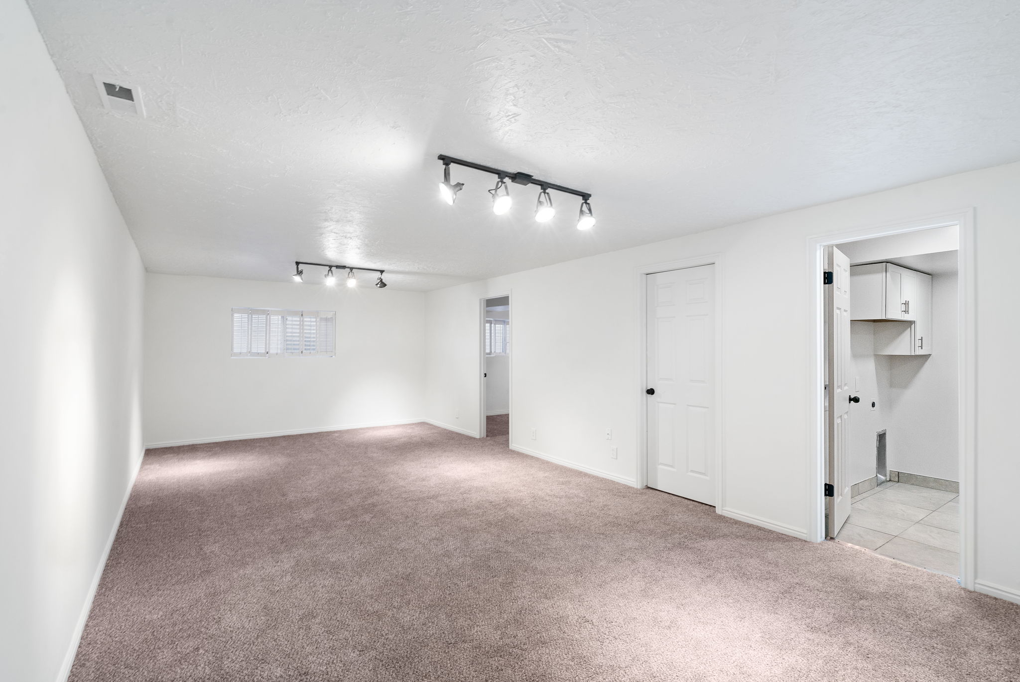 Lower Level - Main Living Area