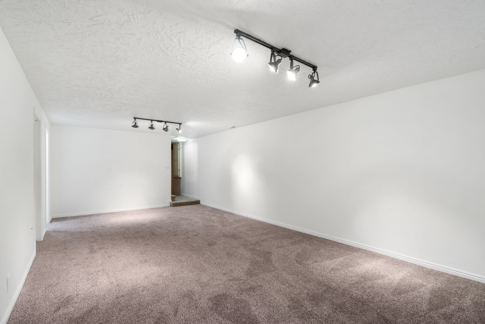 Lower Level - Main Living Area