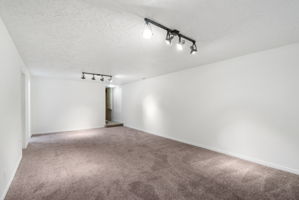 Lower Level - Main Living Area