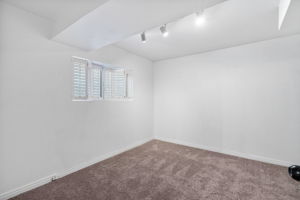 Lower Level - Bedroom 5