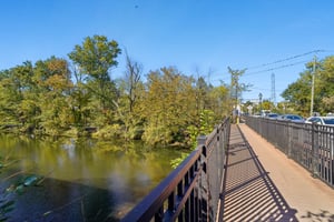 DSC08389.jpg