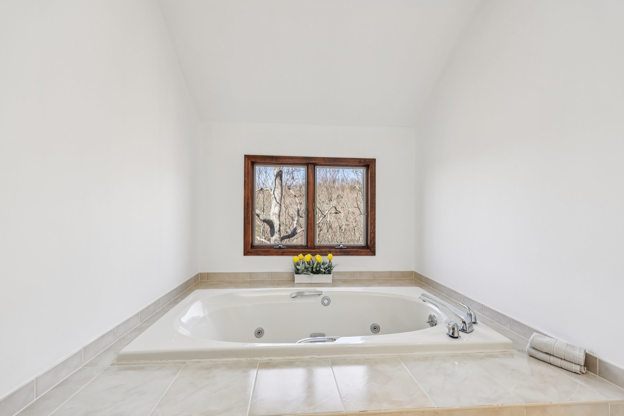 Primary En-Suite Bath tub