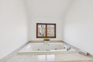 Primary En-Suite Bath tub