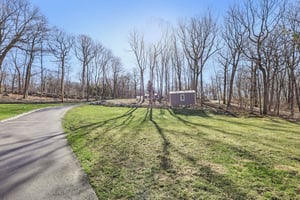 Yard play area, trees cleared