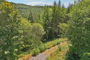 Mohawk Ln-S1507-001.jpg