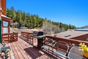 172 Silver Springs Rd, Bailey, CO 80421, USA Photo 3