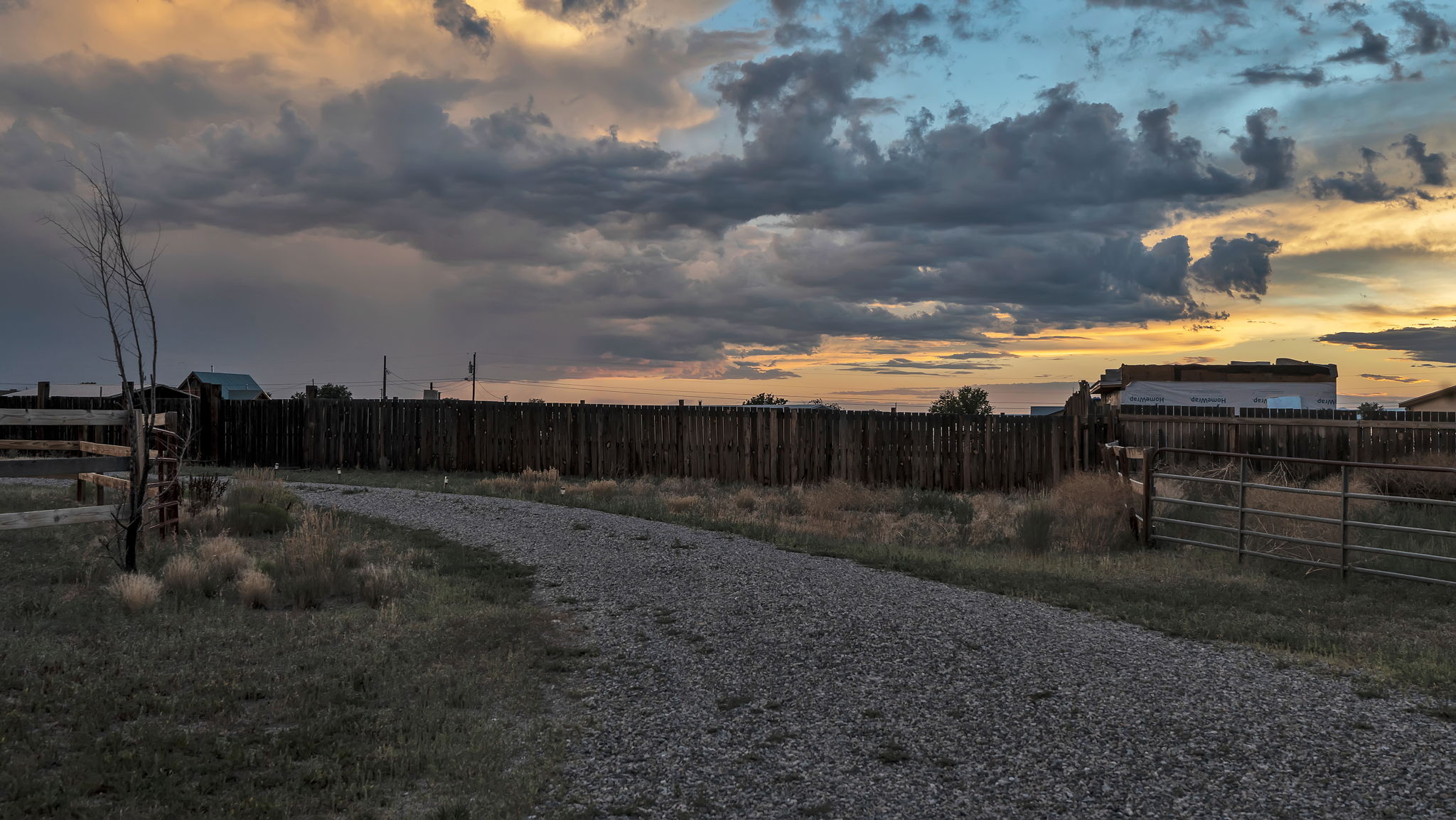  Photo 43