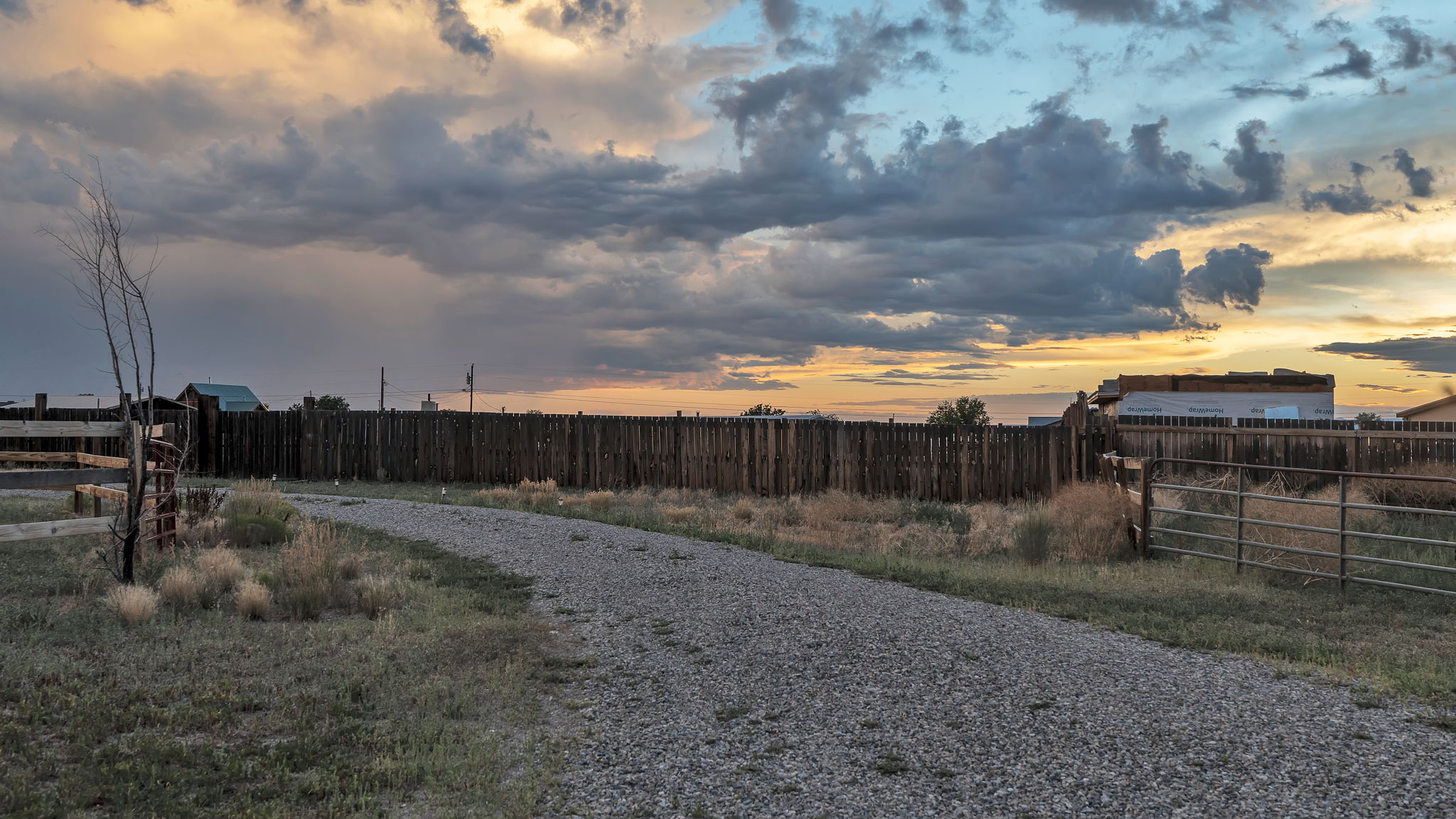  Photo 44