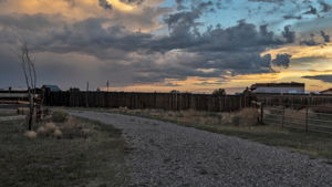  Photo 42