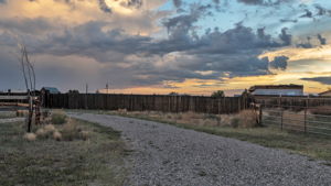  Photo 43