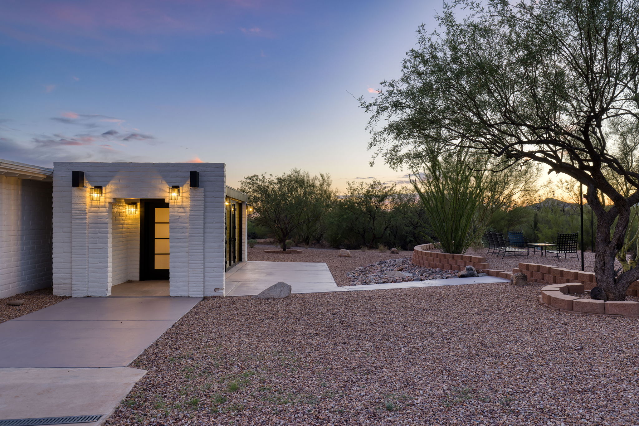 Lush Desert Vegetation