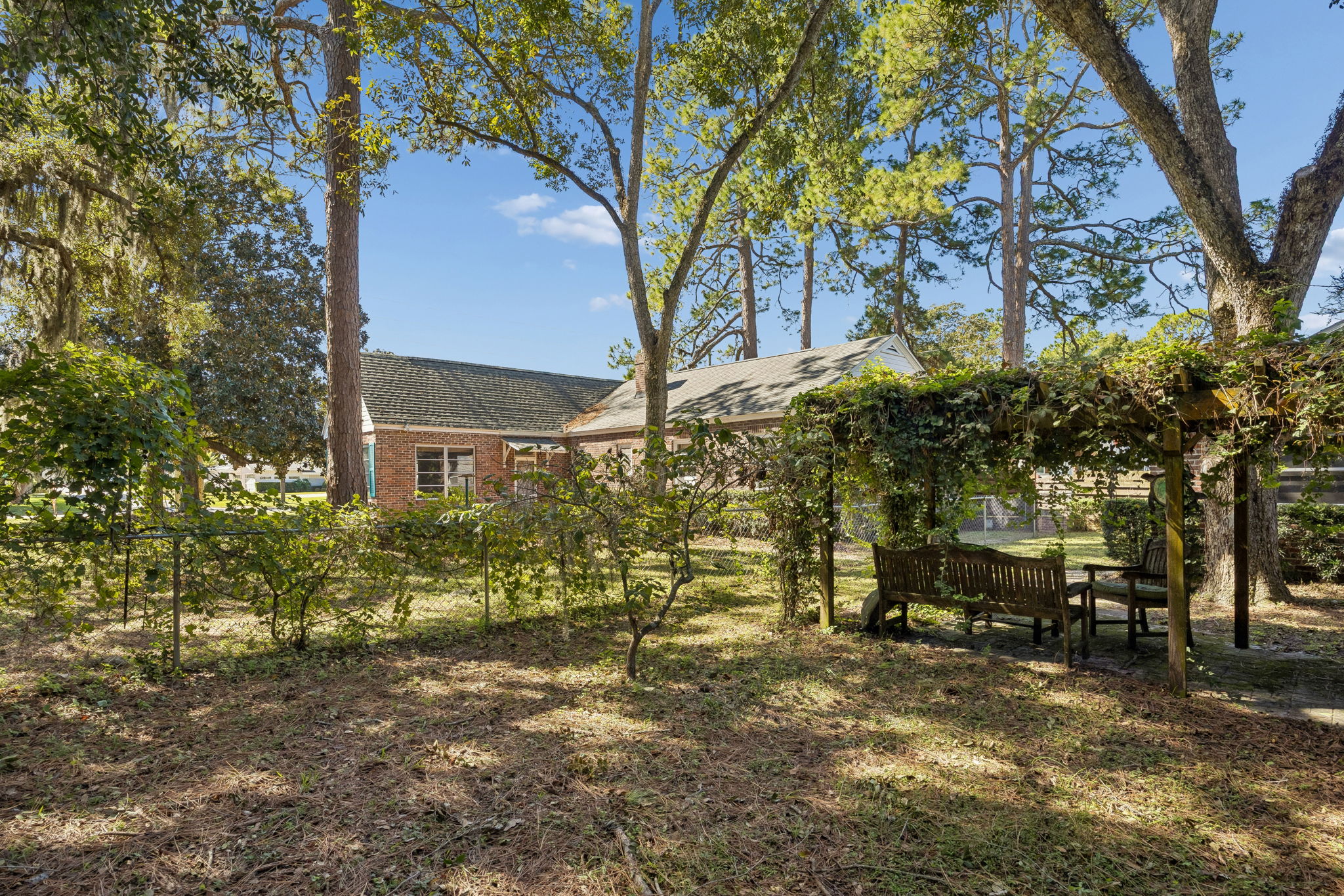 Backyard