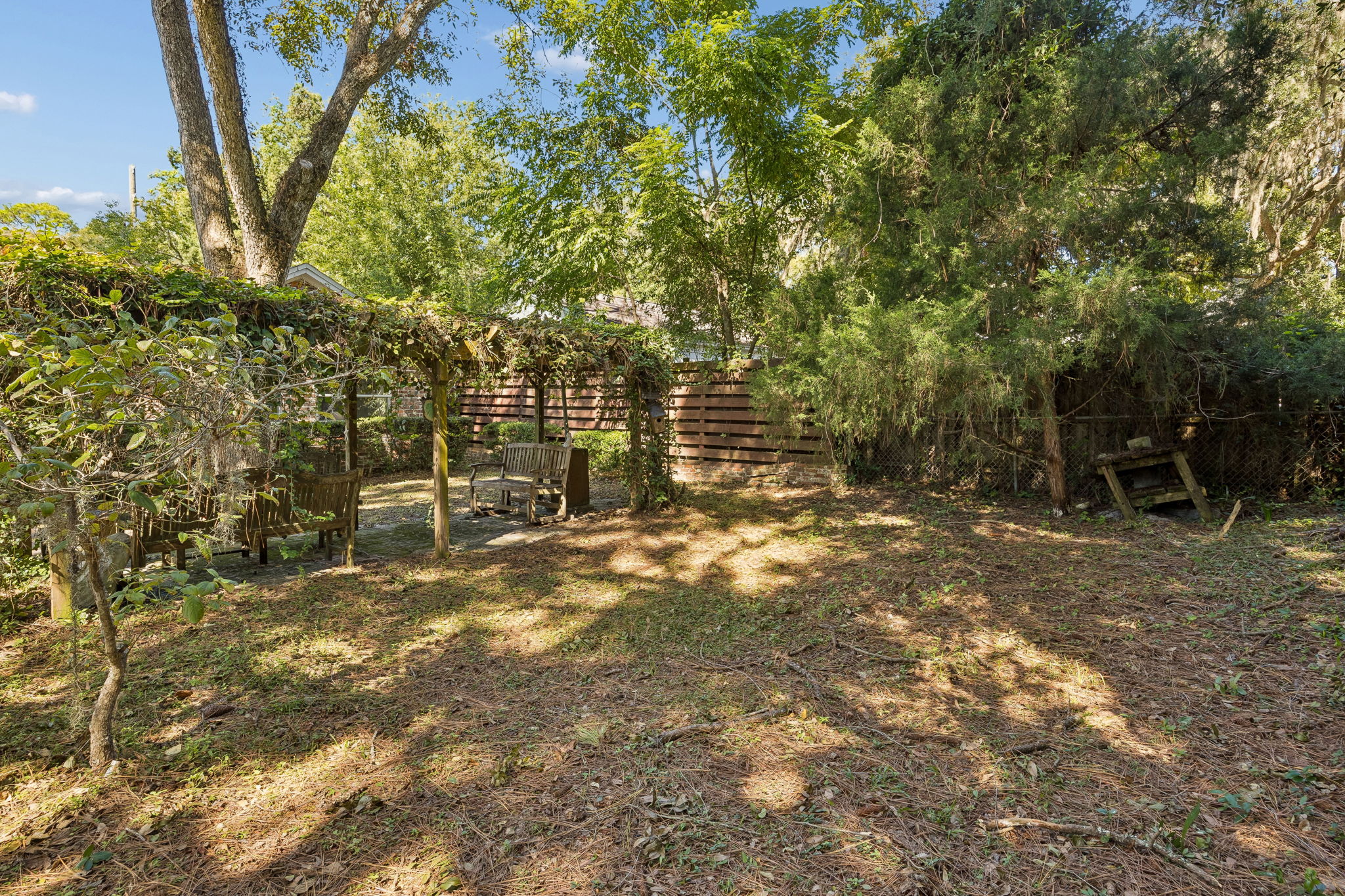 Backyard