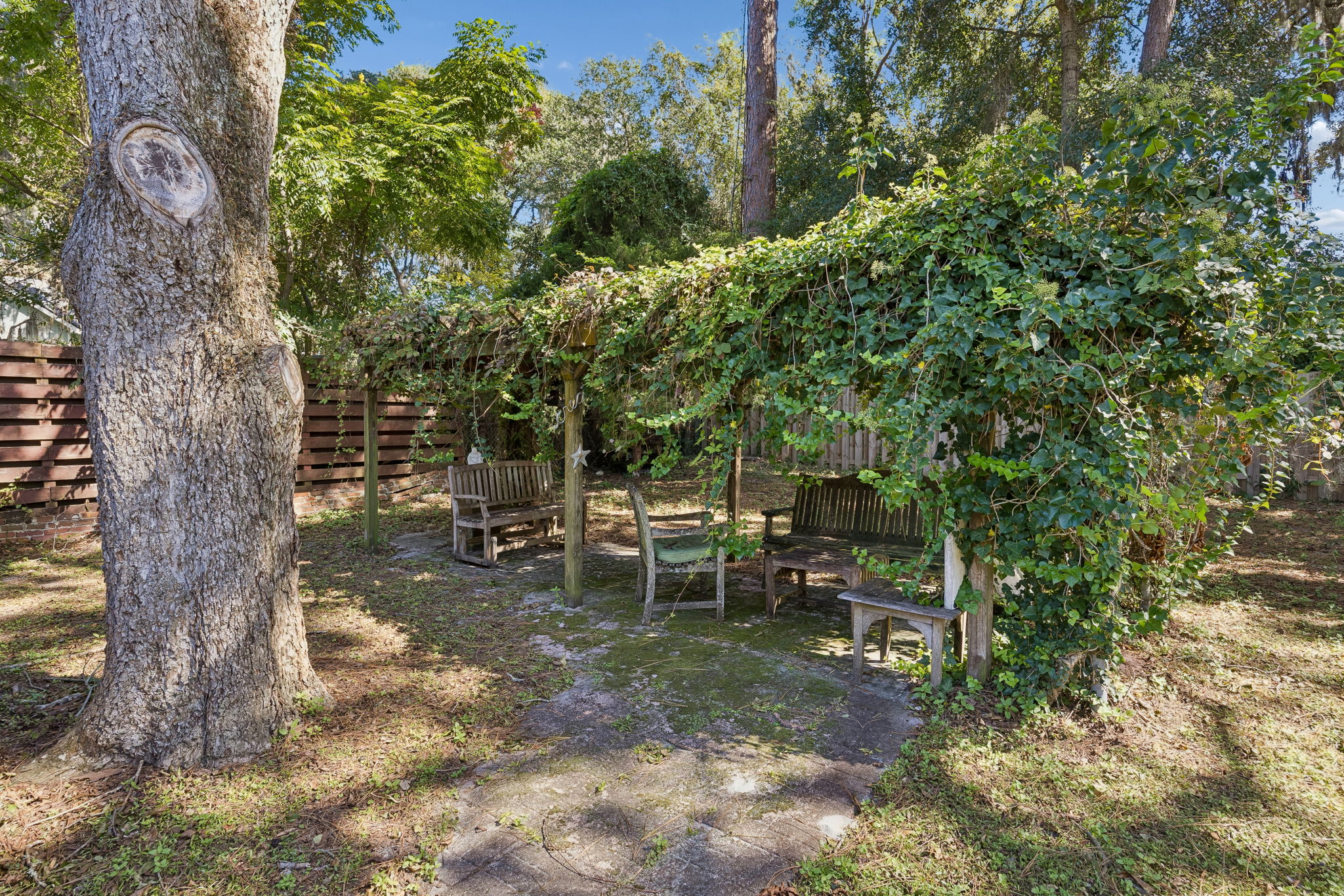 Backyard